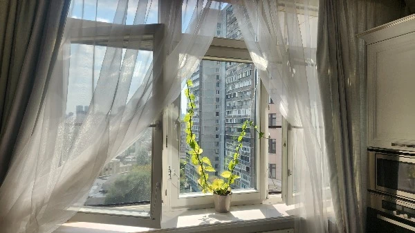Москитная сетка на деревянном окне в Чертаново Москитная сетка на деревянном окне в Чертаново